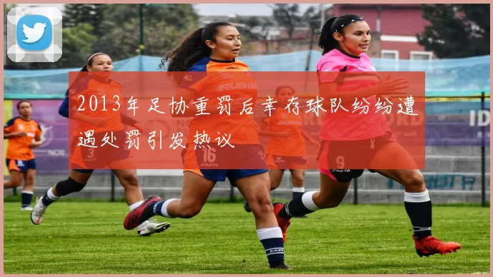 2013年足协重罚后幸存球队纷纷遭遇处罚引发热议